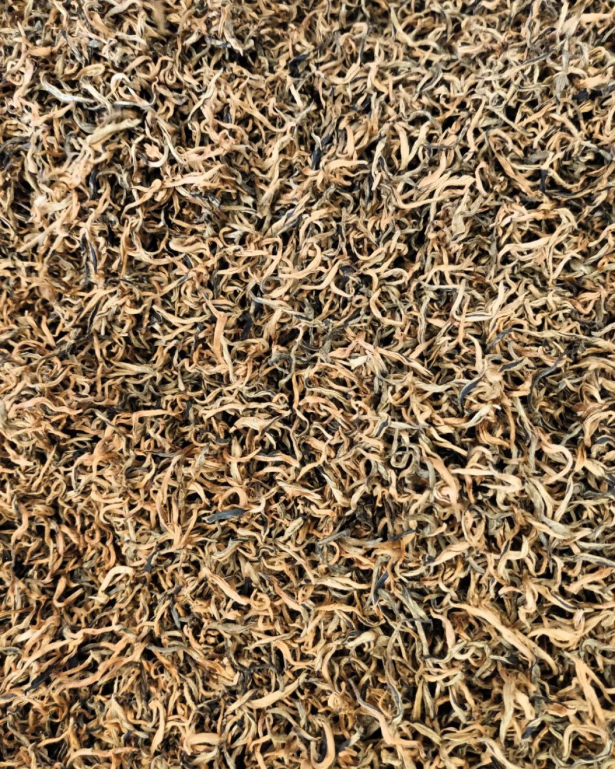 Червоний Чай (43)