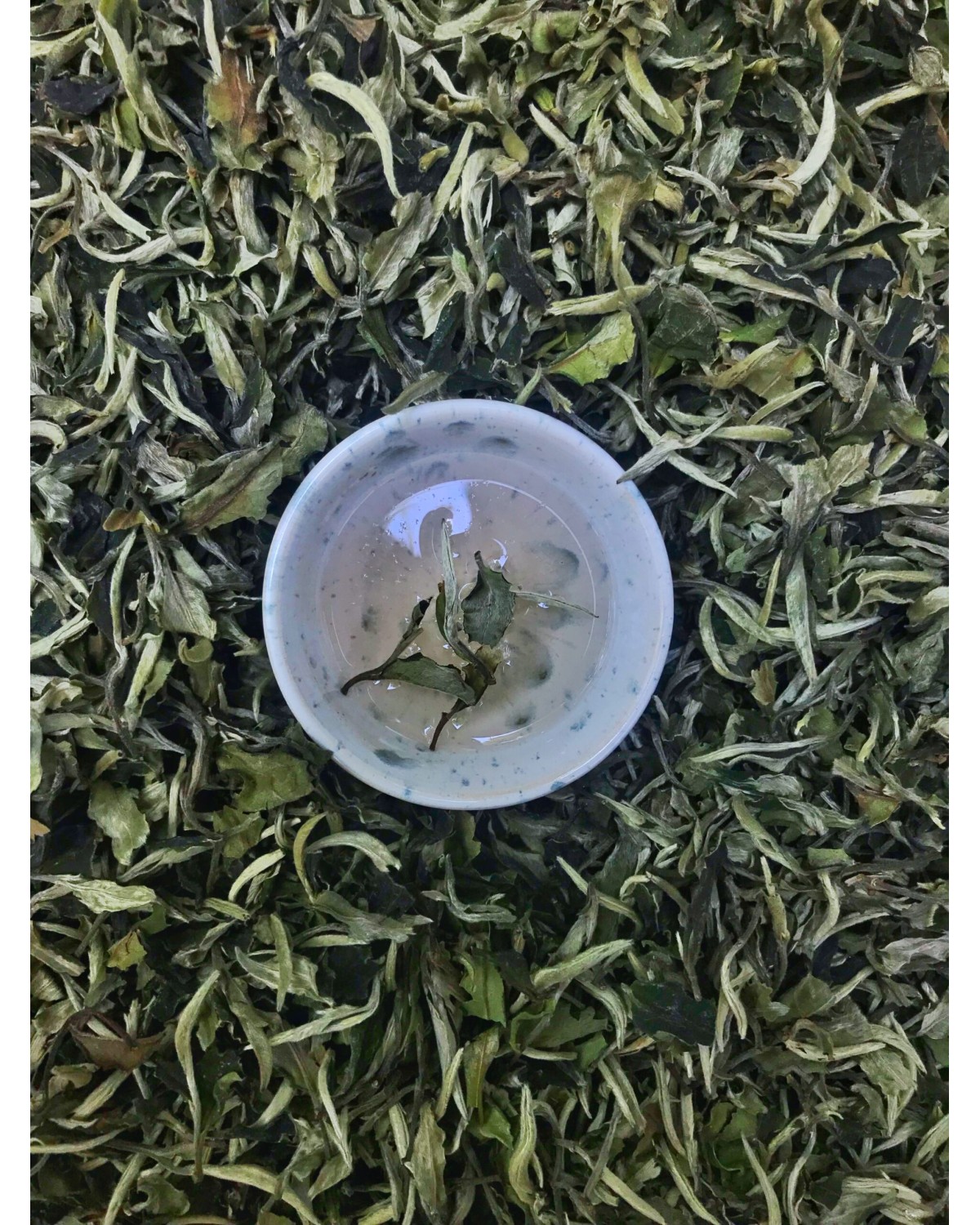 Білий чай Юе Гуан Бай 2024