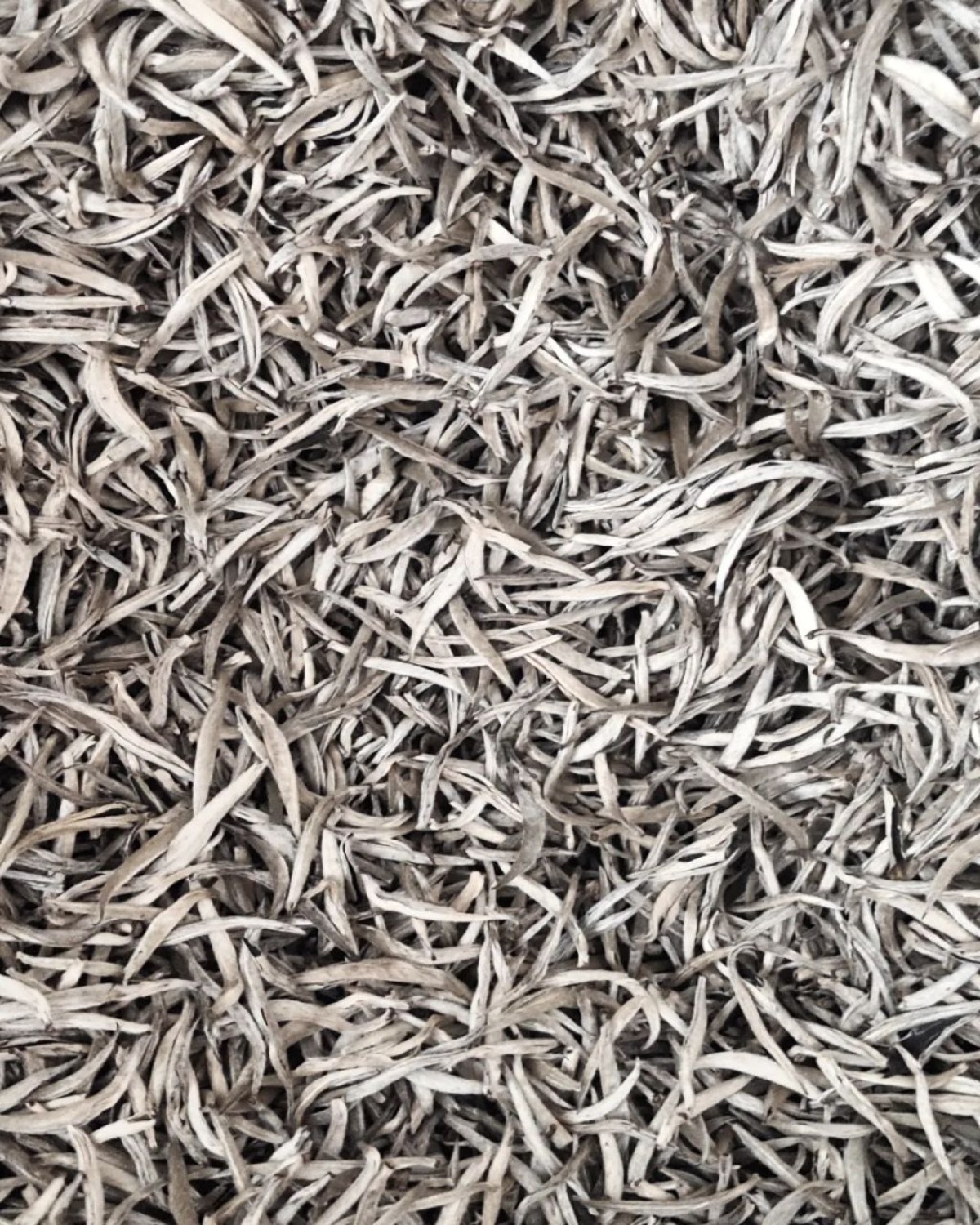 蜜桃香银针 мі тао сян інь чжень 2023