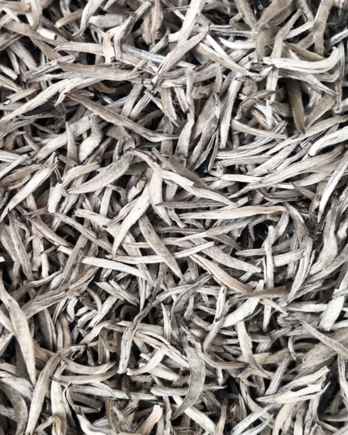 蜜桃香银针 мі тао сян інь чжень 2023