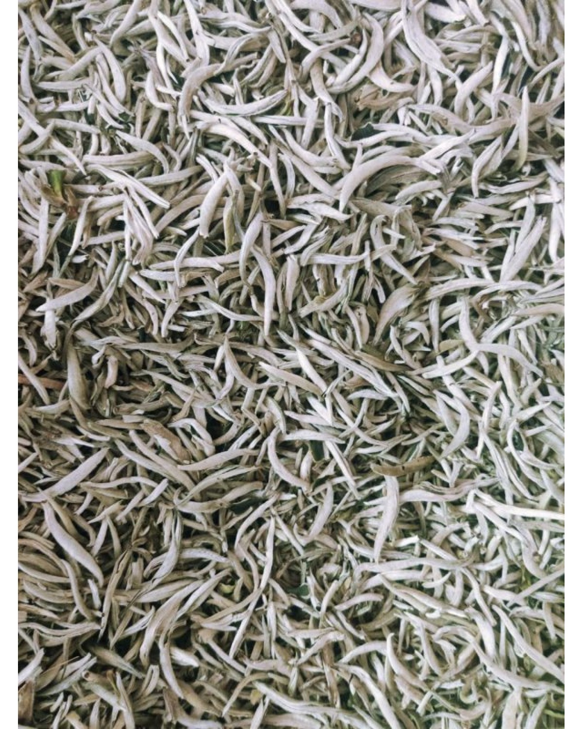 Білий чай мі тао сян інь чжень – срібні голки з ароматом медового персика