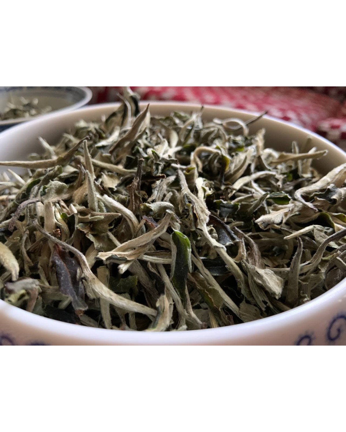 Білий чай Юе гуан бай 2021