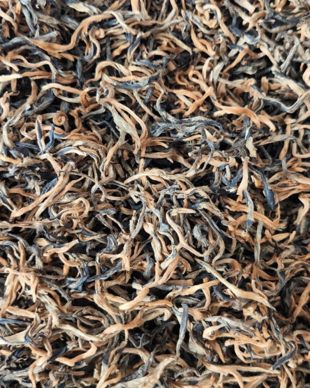 滇红金呀 дяньхун цзинь я 2023