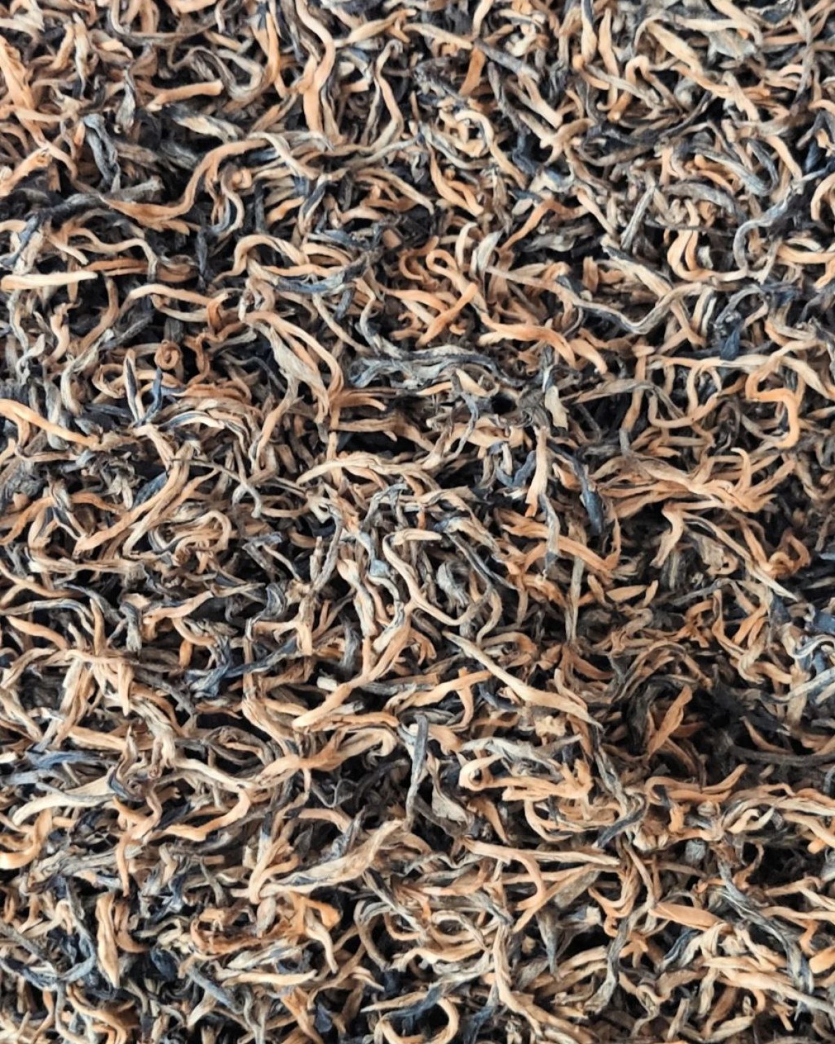 滇红金呀 дяньхун цзинь я 2023