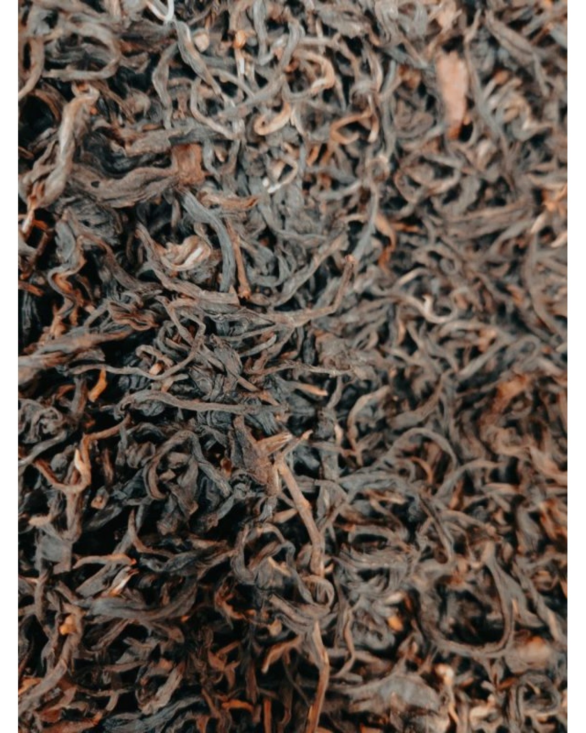 Гу шу дянь хун Гу шу дянь хун