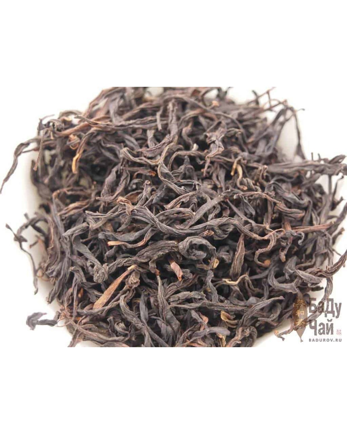 Є шен чжу линь сяо чжун (野生竹林小种) Є шен чжу линь сяо чжун (野生竹林小种)