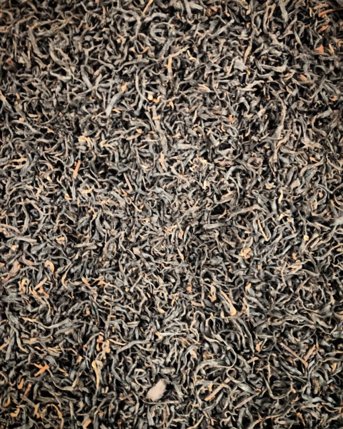 Чжен хе хун ча 2023