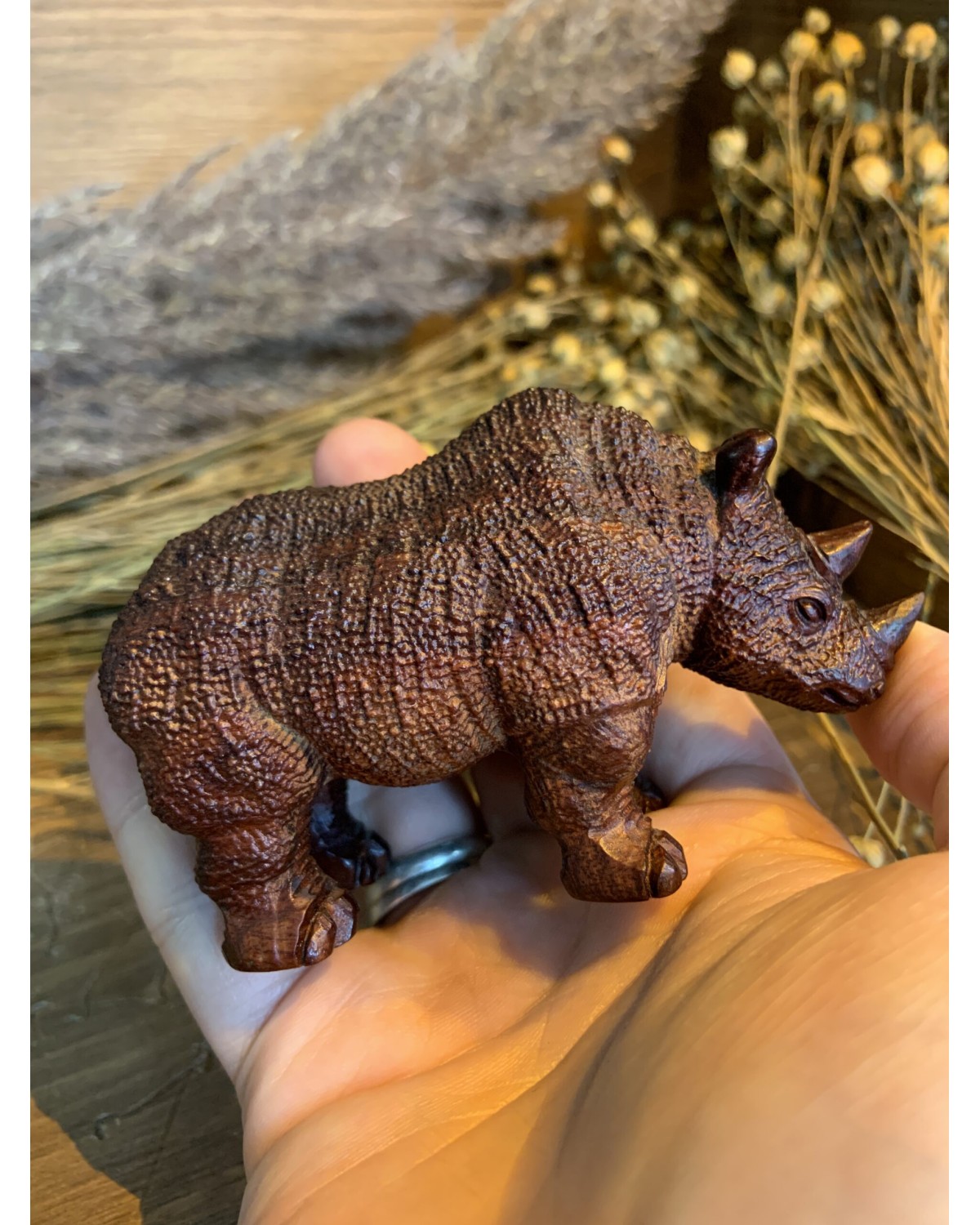 Сандаловій носоріг