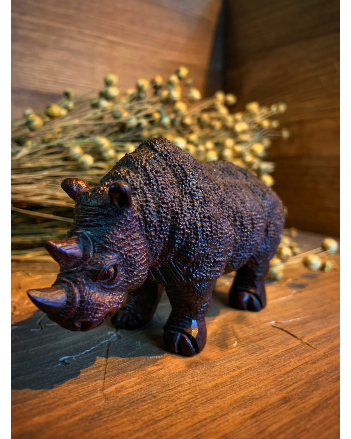 Сандаловій носоріг