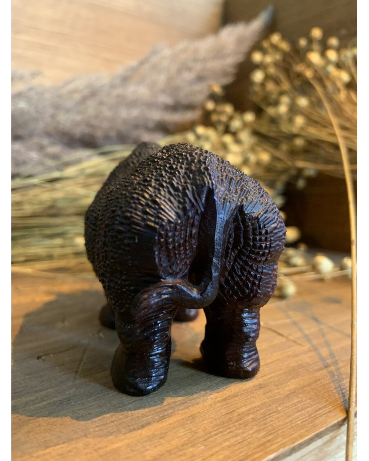 Сандаловій носоріг