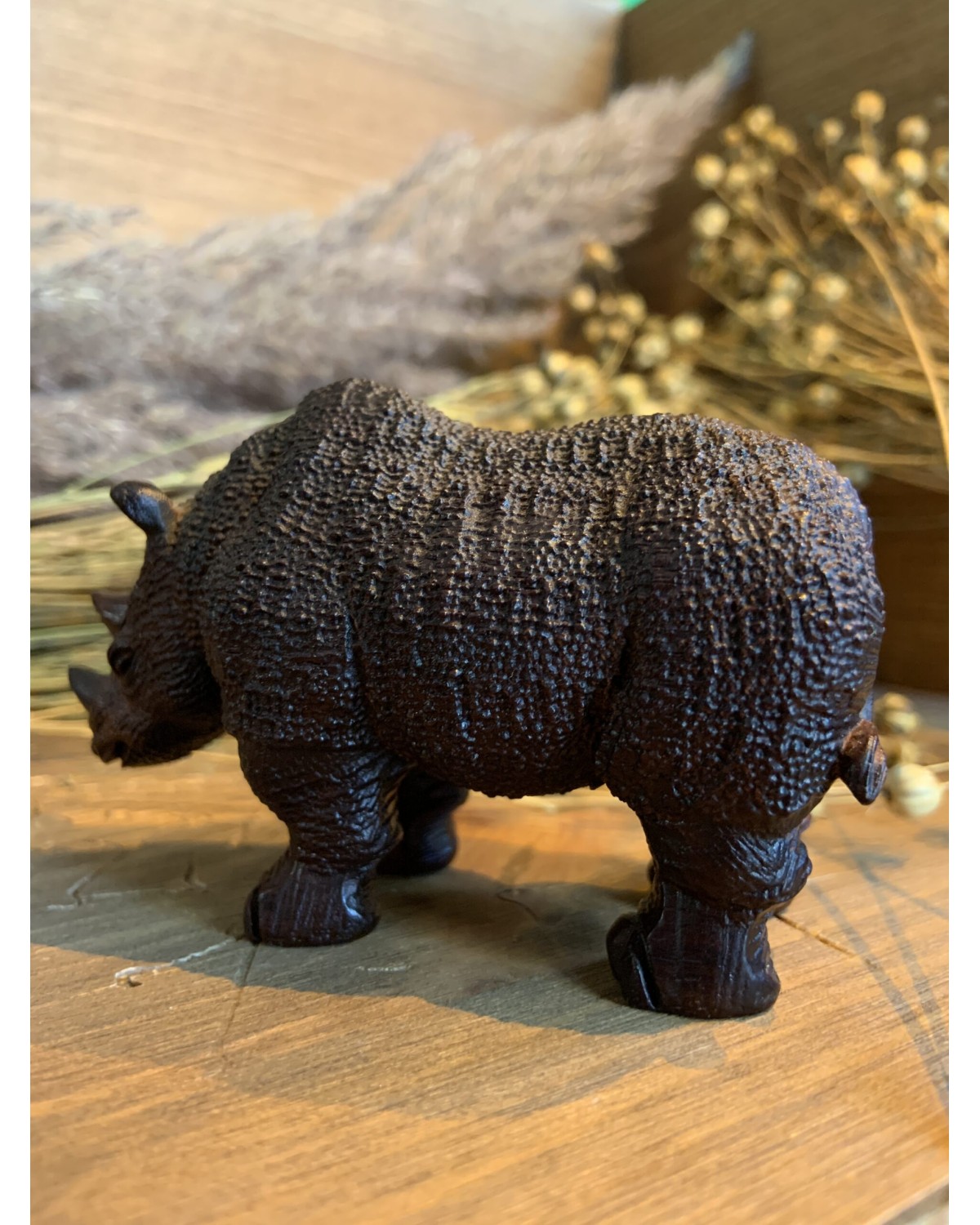 Сандаловій носоріг