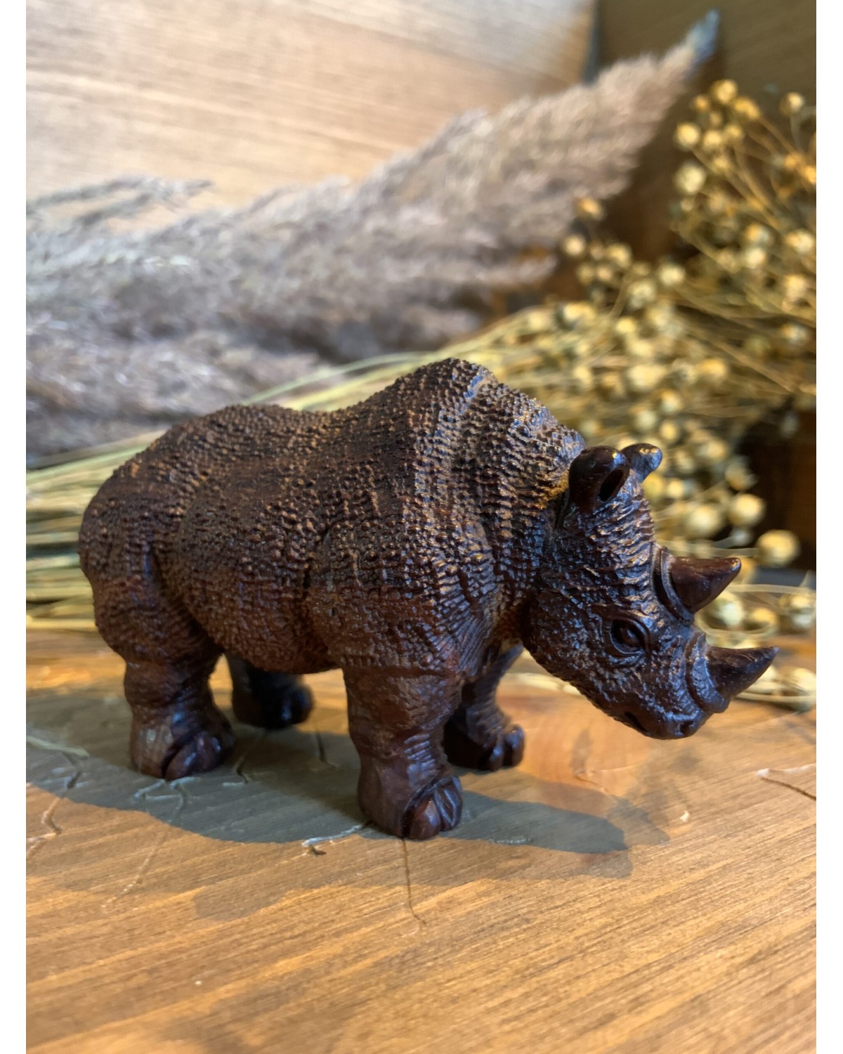 Сандаловій носоріг