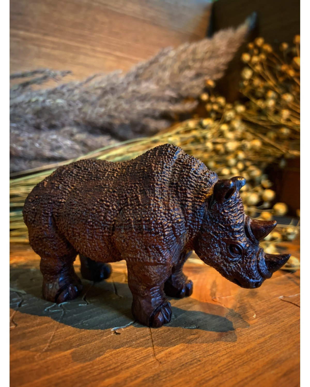 Сандаловій носоріг