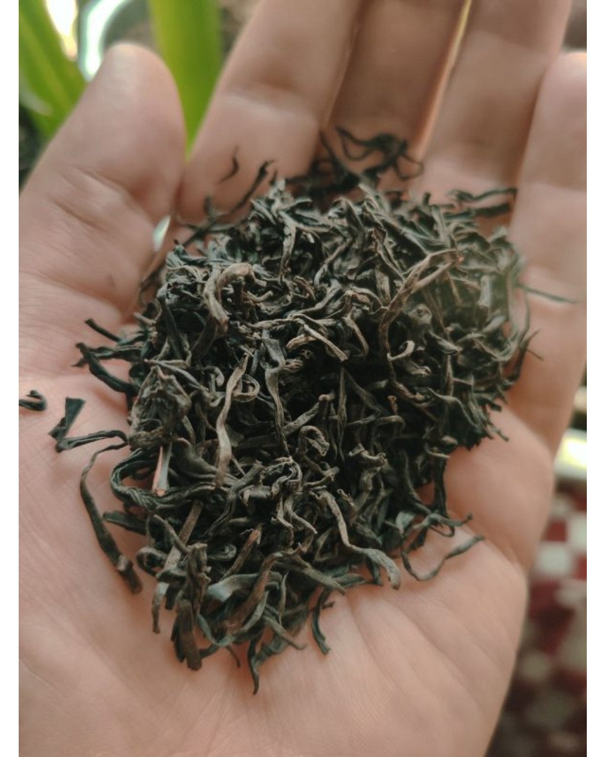 Червоний чай Цзи Юнь