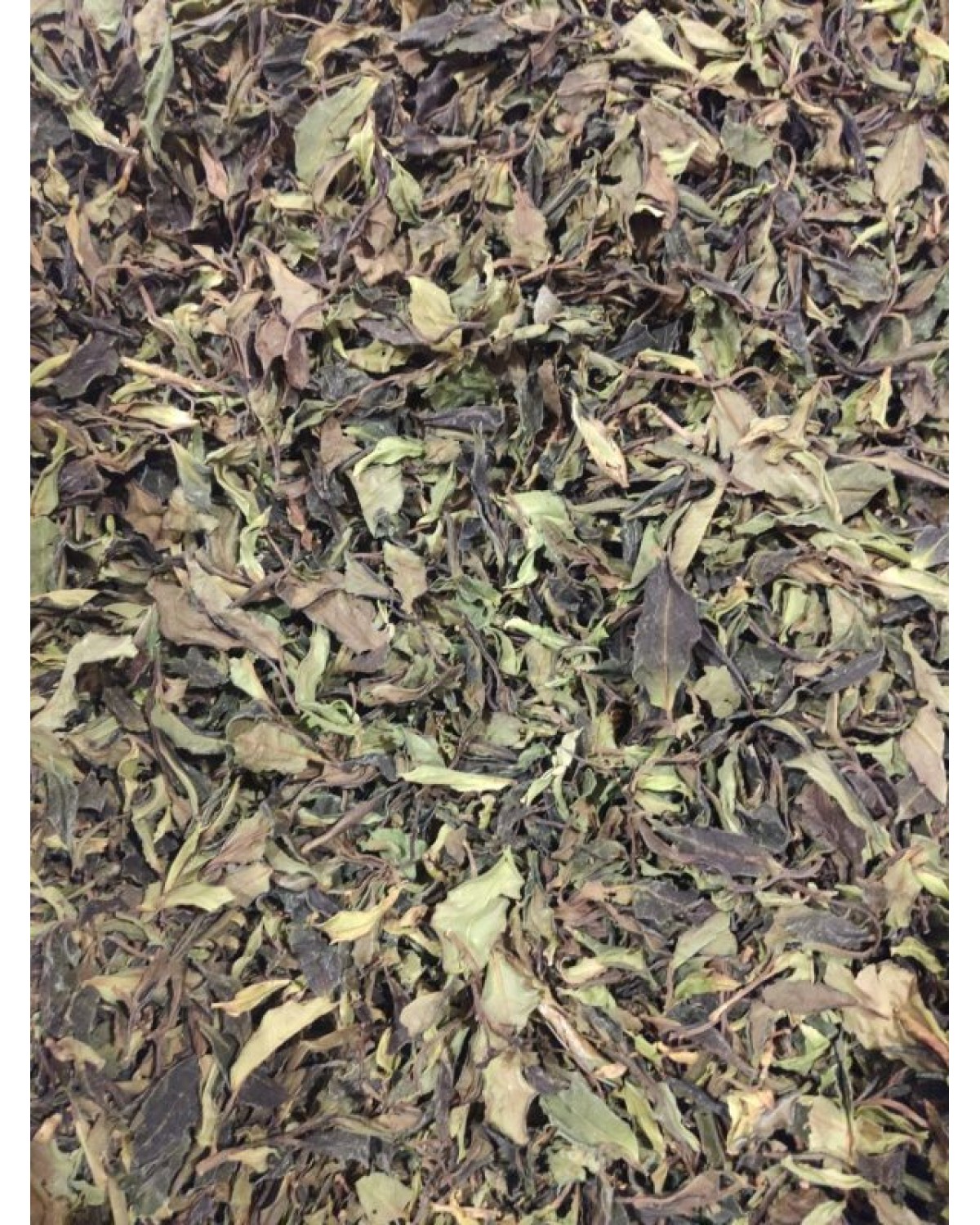 Дикий білий чай – Є Шен Бай Ча 2024