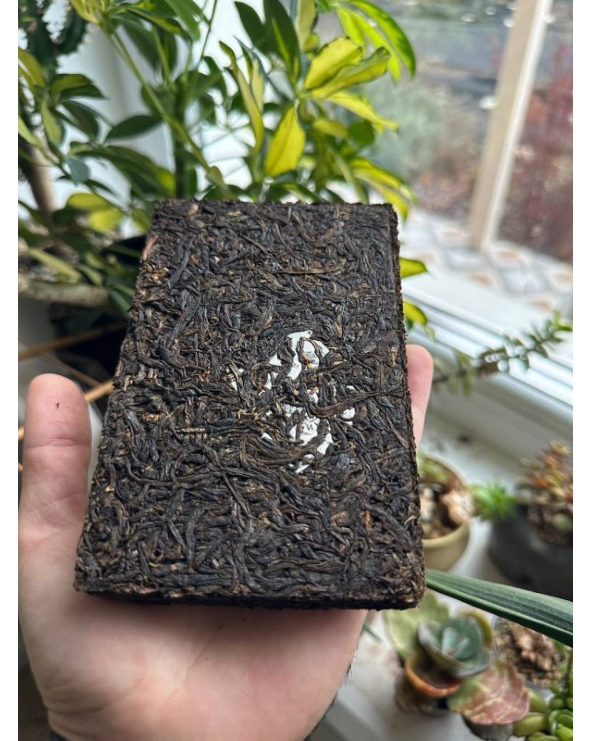 Червоний габа чай «Ace of Swords – The Magus”