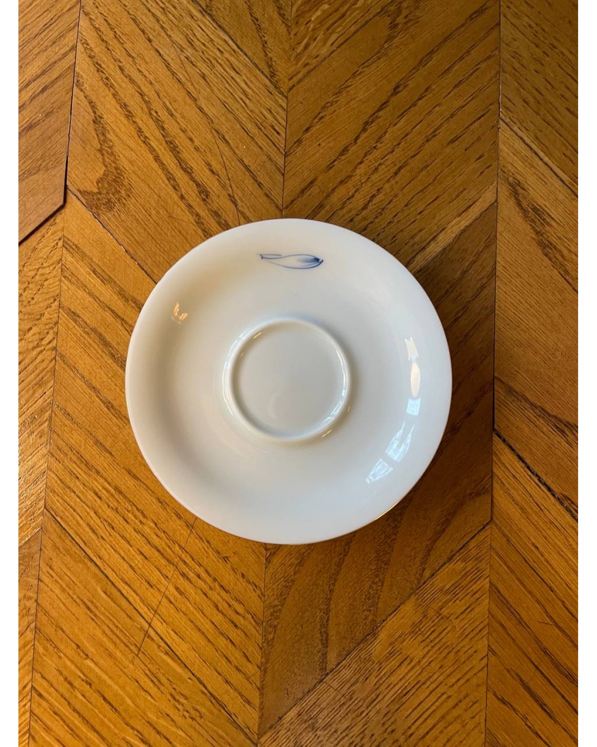 Гайвань "Квітка Білого Світу" Гайвань "Квітка Білого Світу"