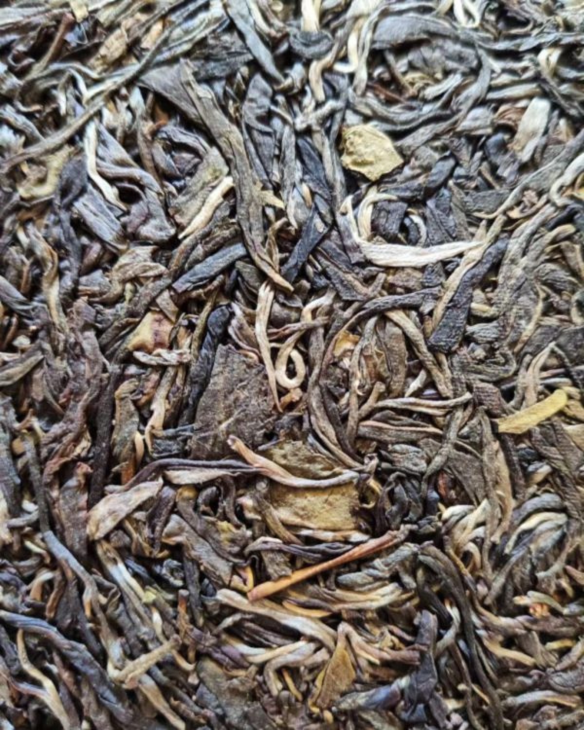 Чай Шен пуер “нескінченний вузол” Чай Шен пуер “нескінченний вузол”