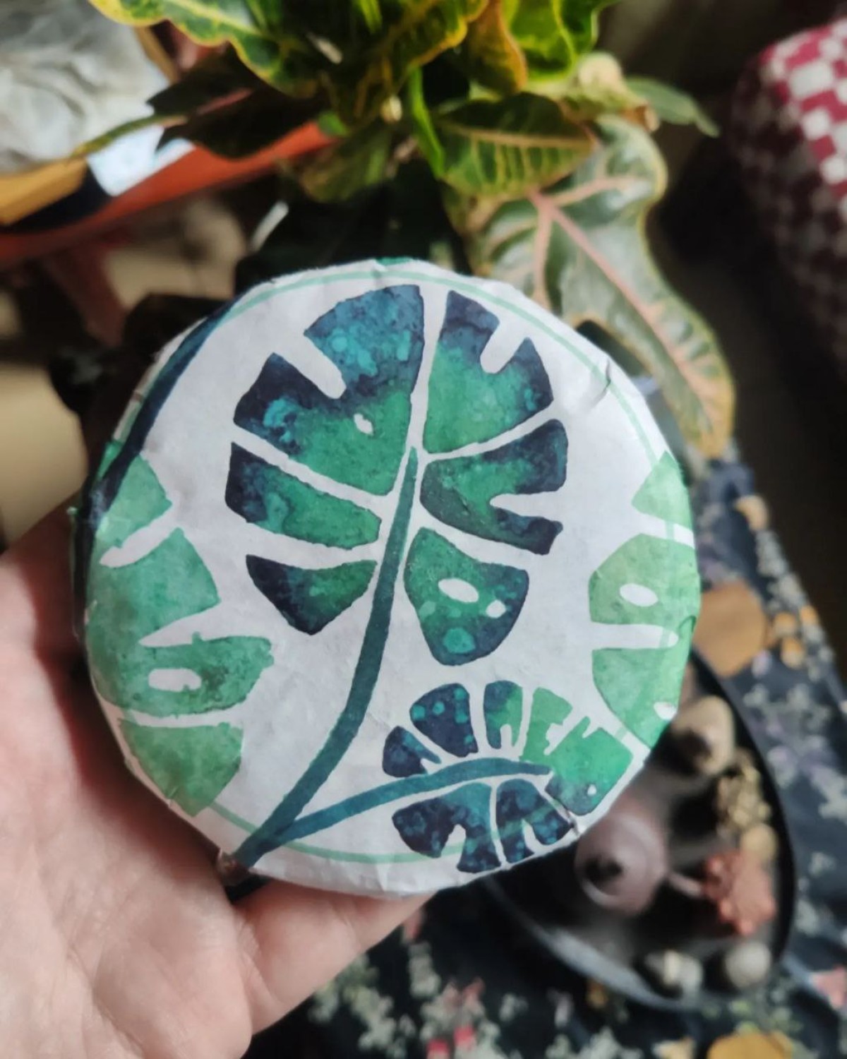 Чай Шен пуер монстера