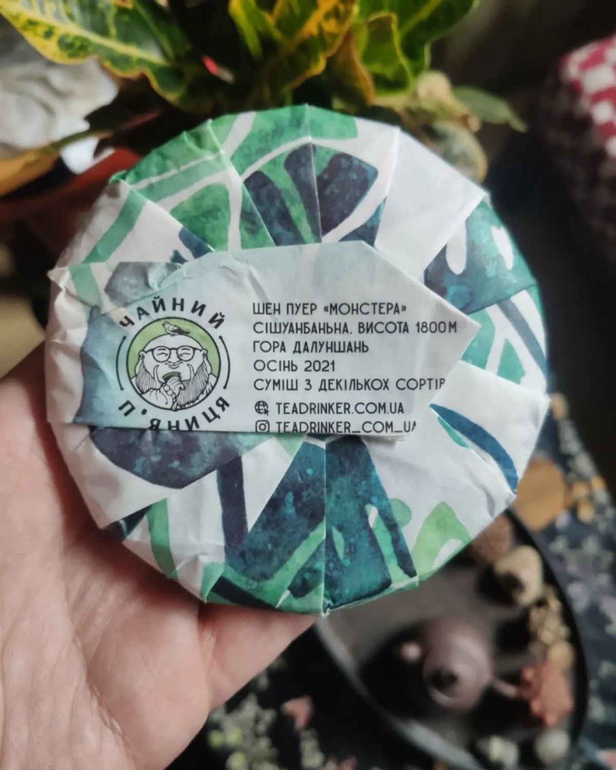 Чай Шен пуер монстера