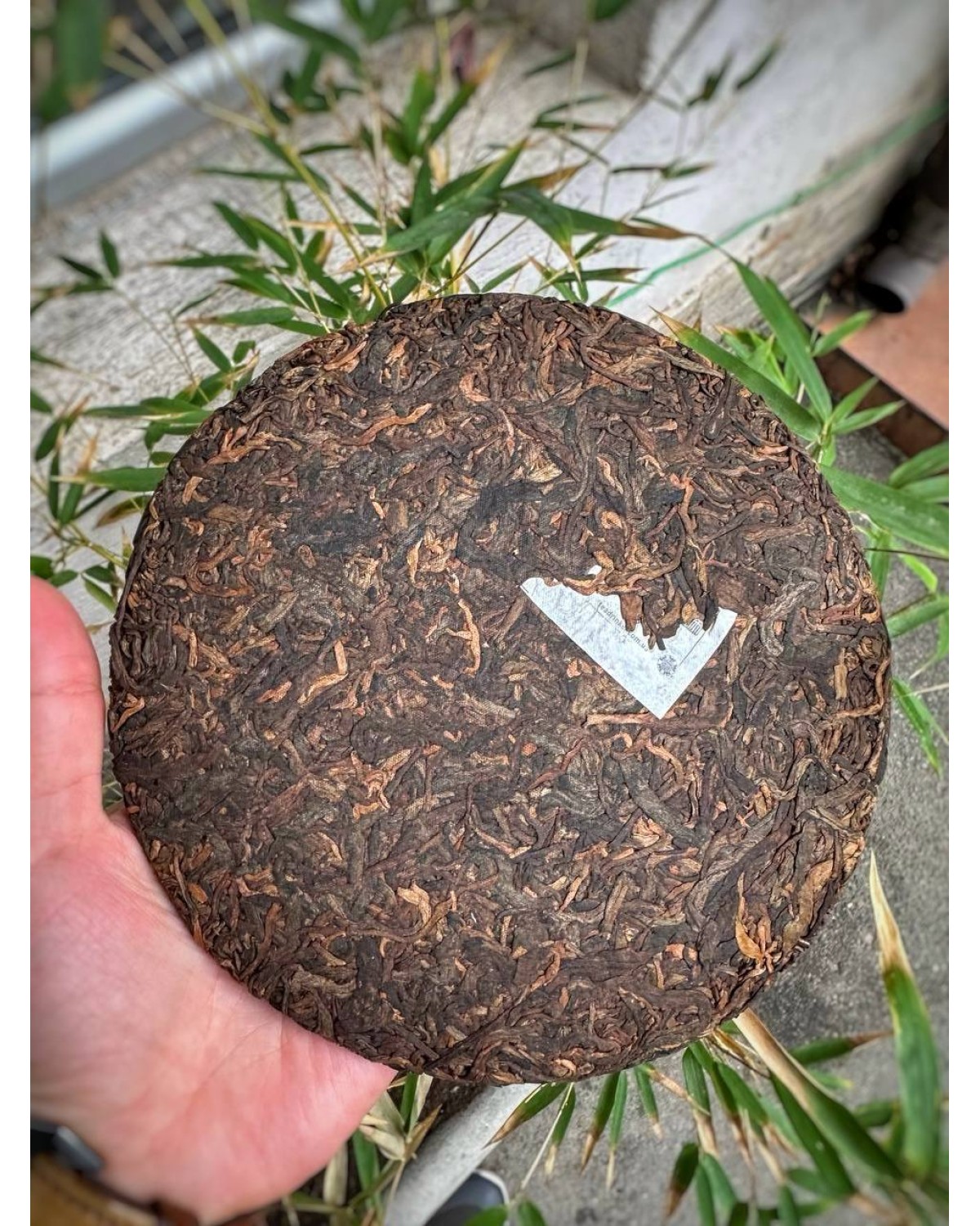 Чай Шу пуер TEA WIZARD ЧАРІВНИК Чай Шу пуер TEA WIZARD ЧАРІВНИК