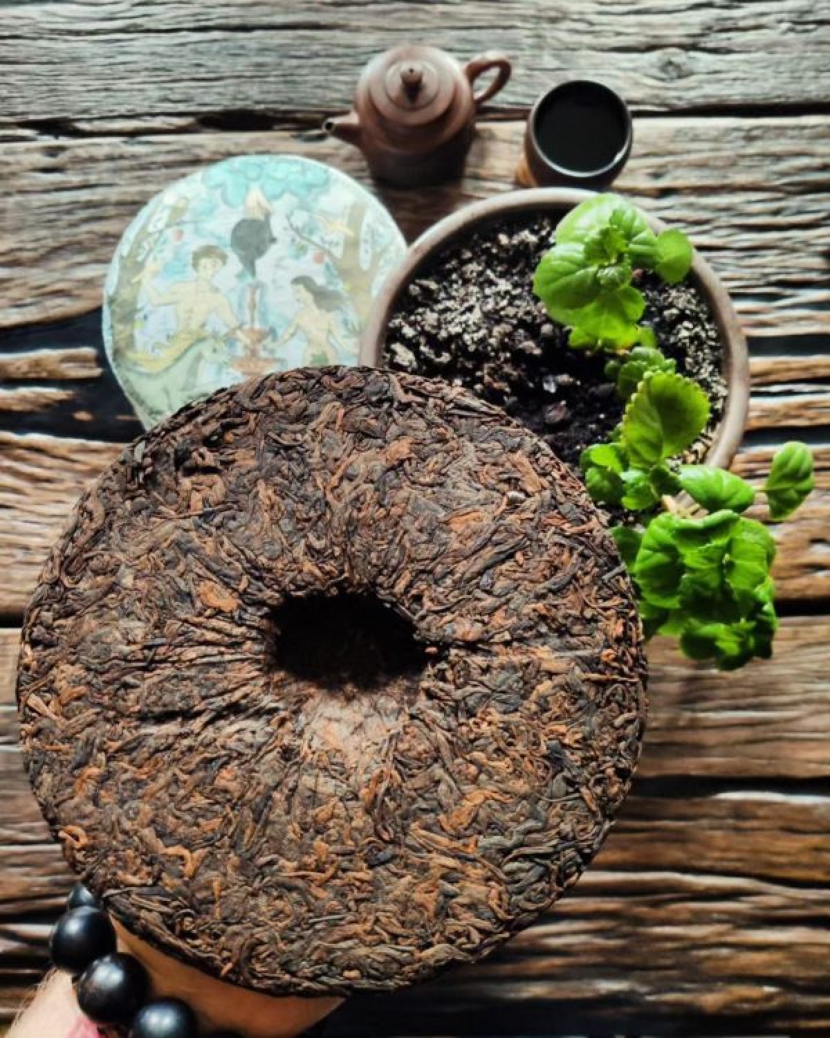 Шу пуер РАЙ