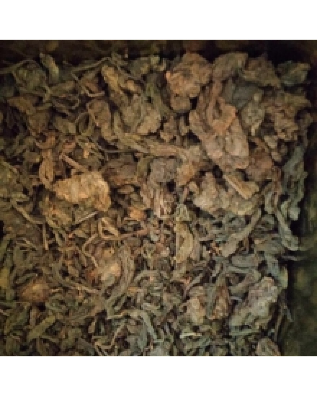 Лао ча тоу - старі чайні голови