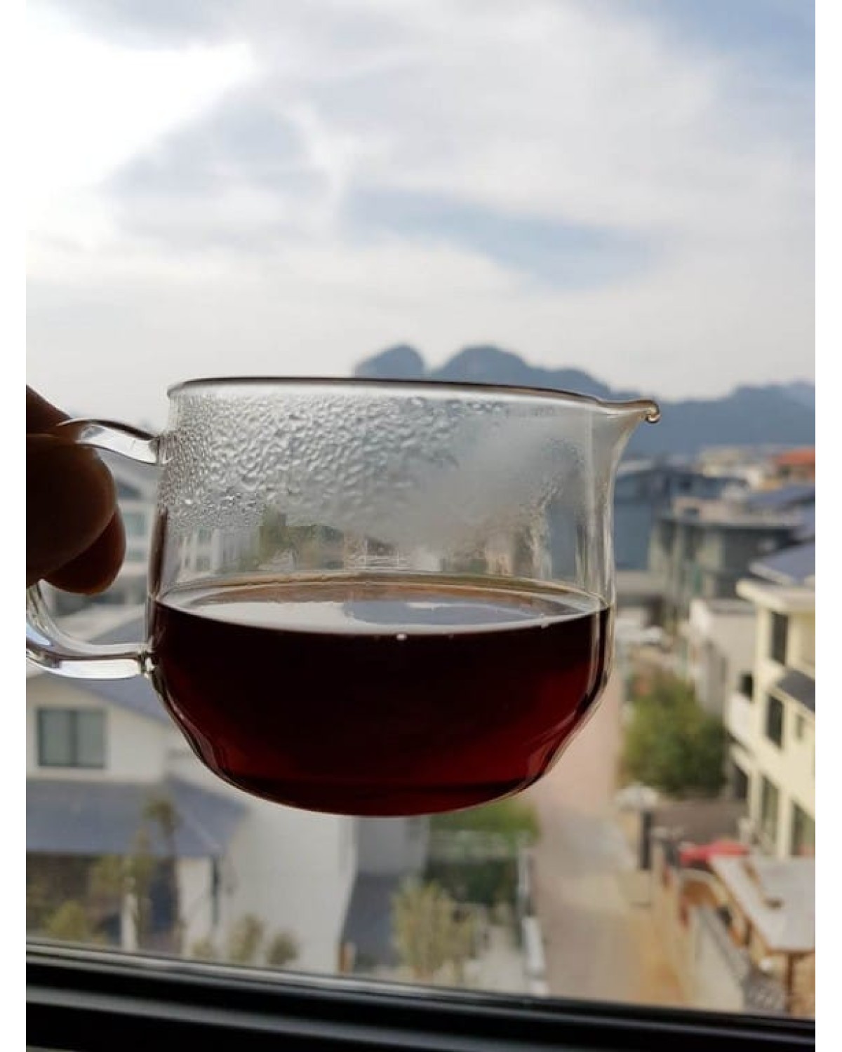 Шу ван пу ер 熟王普洱