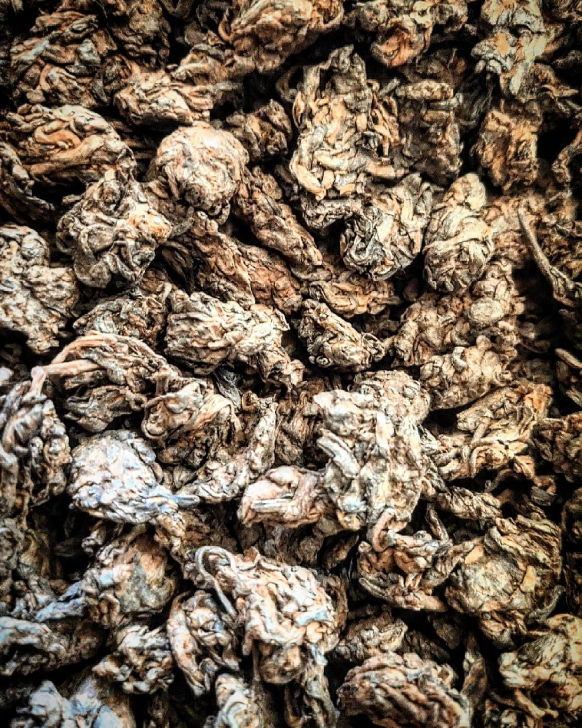 Лао ча тоу (老茶头)