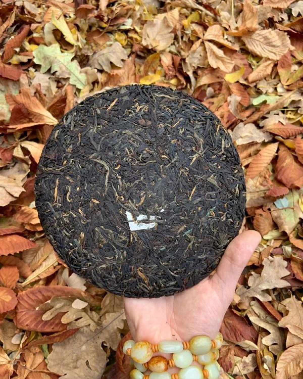 Габа улун спостерігач 3 Габа улун спостерігач 3