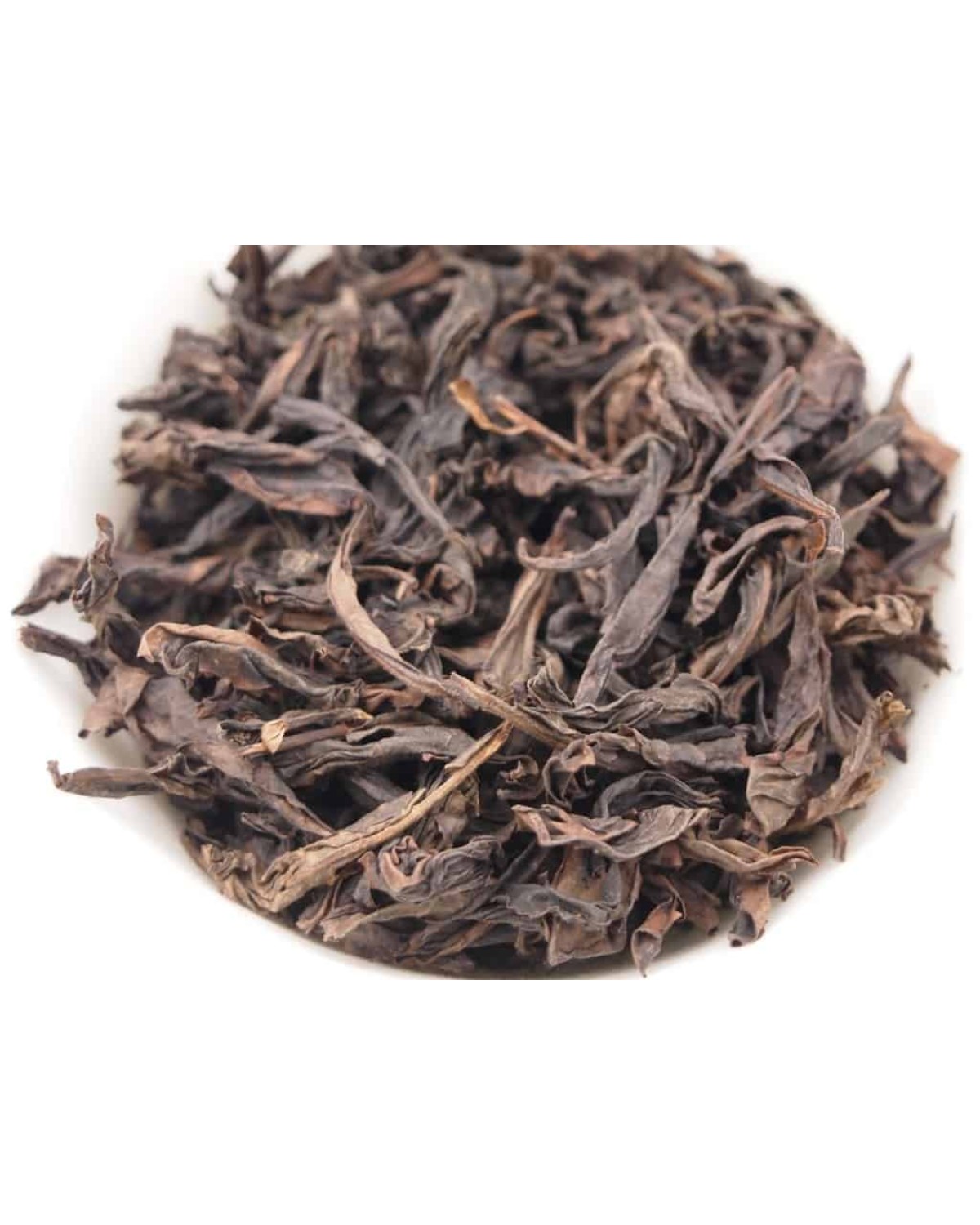 Шуй цзинь гуй 水金龟 Шуй цзинь гуй 水金龟