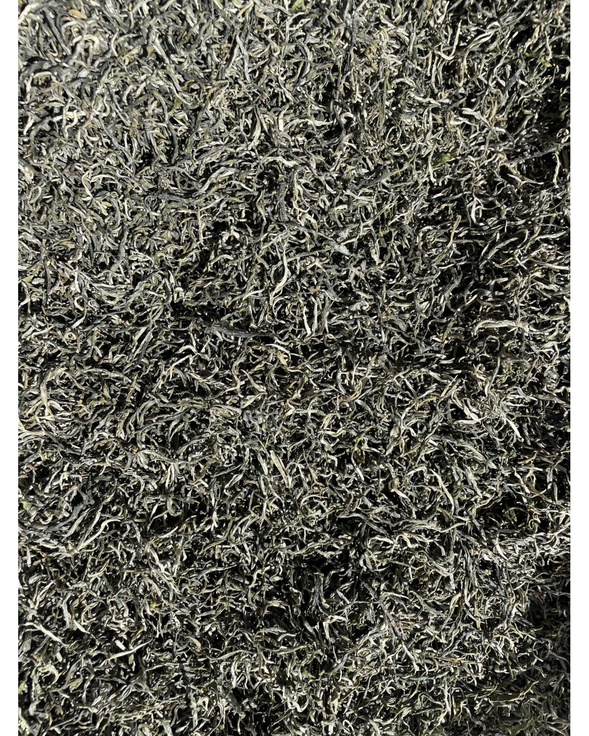 Зелений чай Срібні ниті 银丝 - ін си 2024